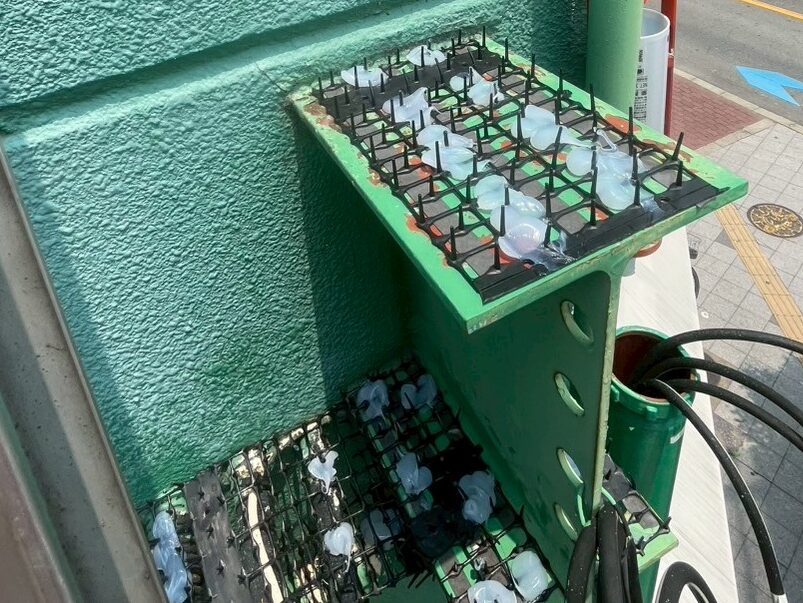 鳥除け工事